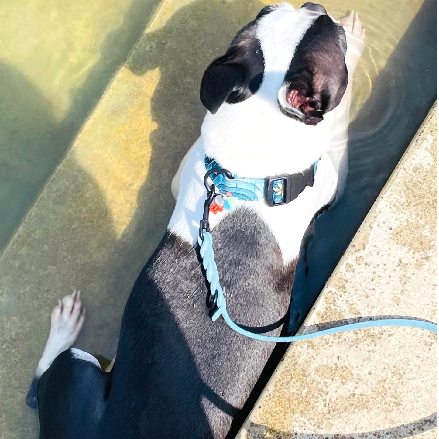 Outdoor Halsband Aqua