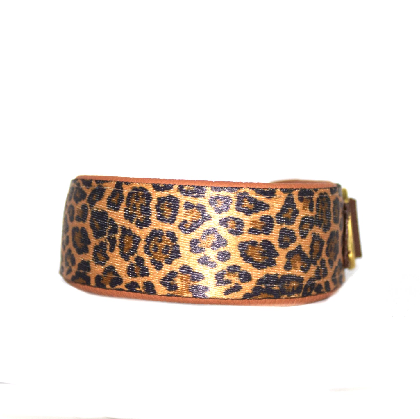 Outdoor Halsband Leo