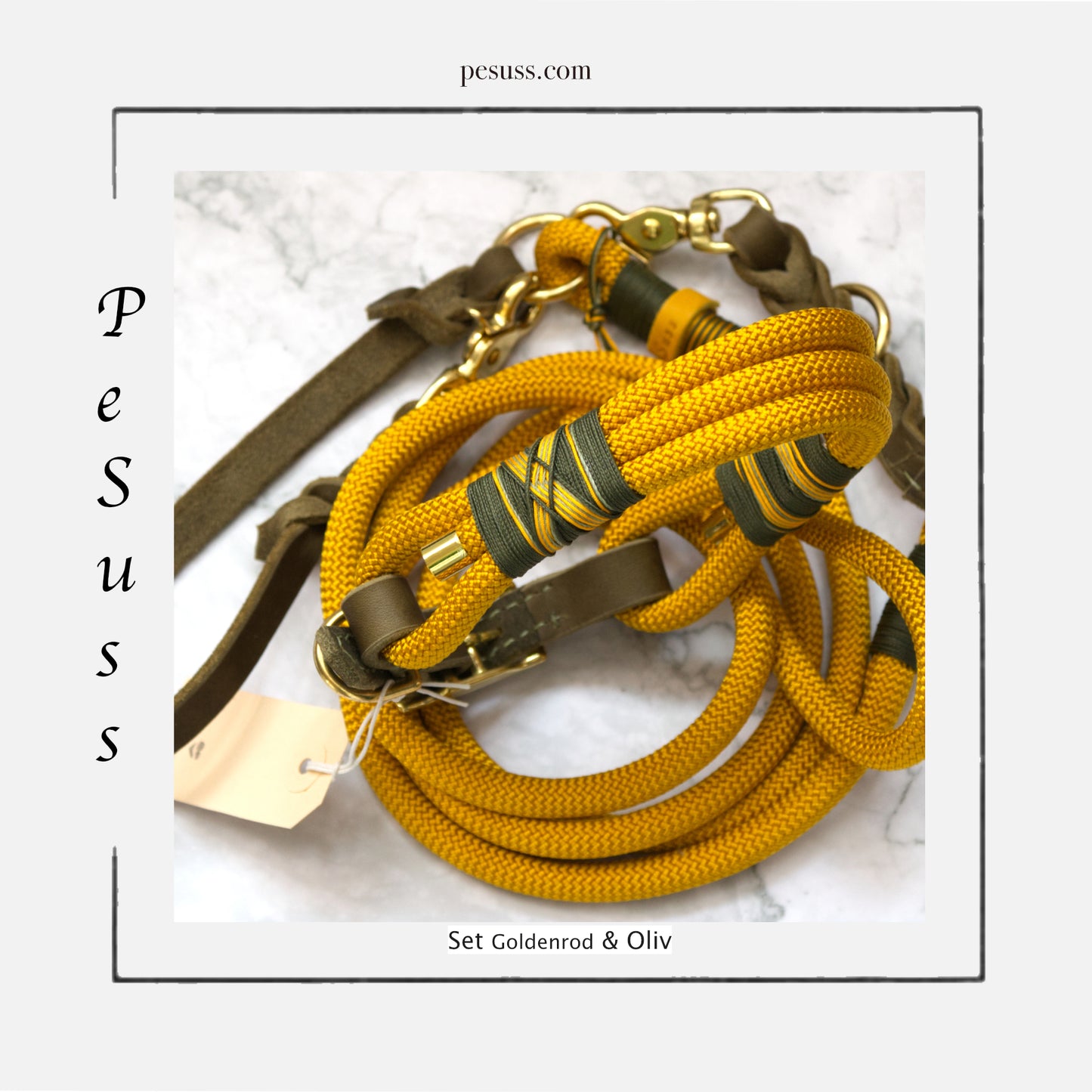 Set Goldenrod & Oliv