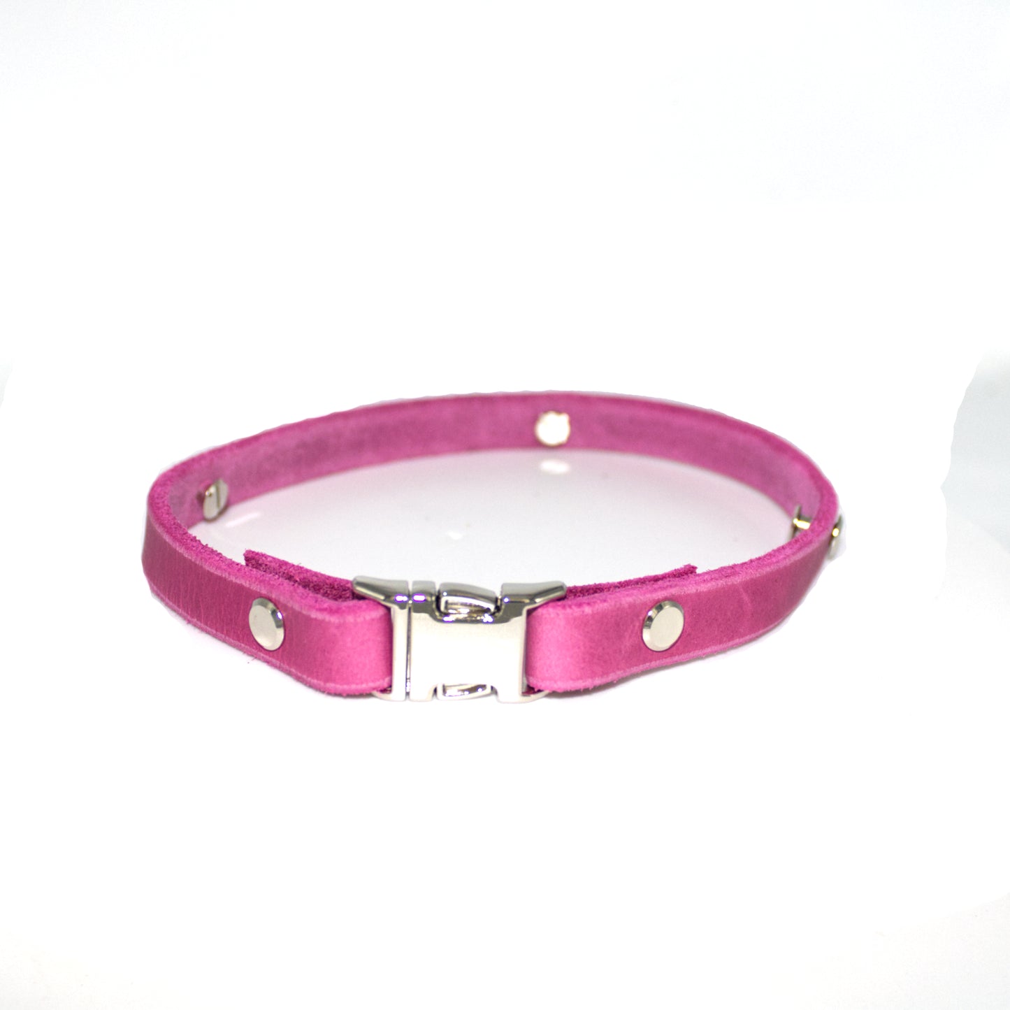 Zeckenbandcover Silber