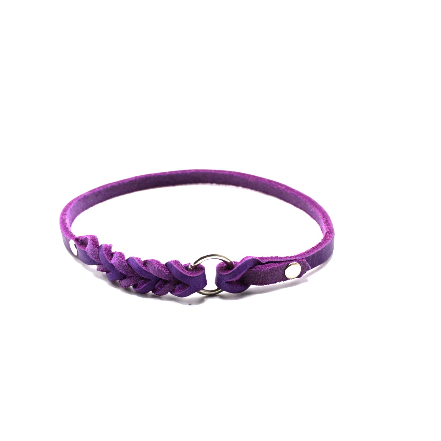 Markenhalsband, Violett