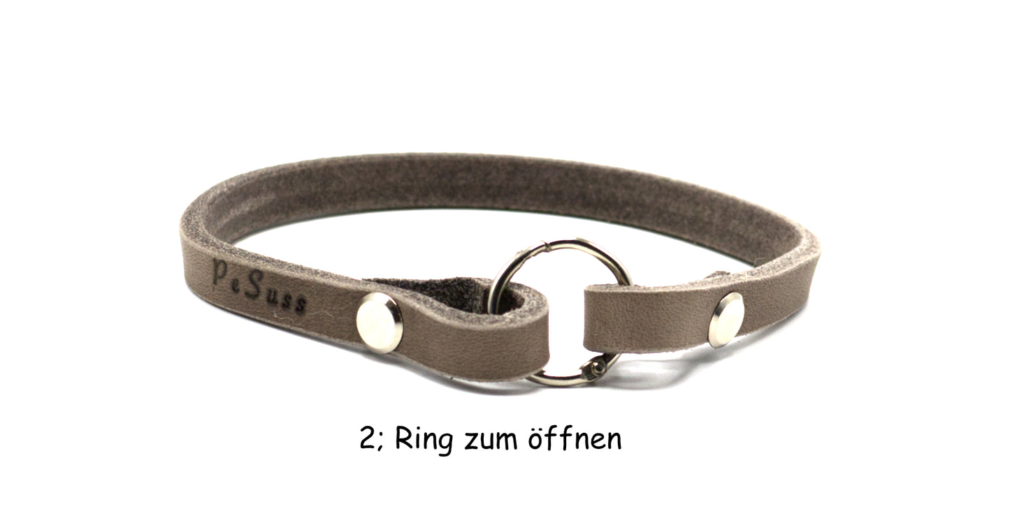 Zeckenbandcover Silber