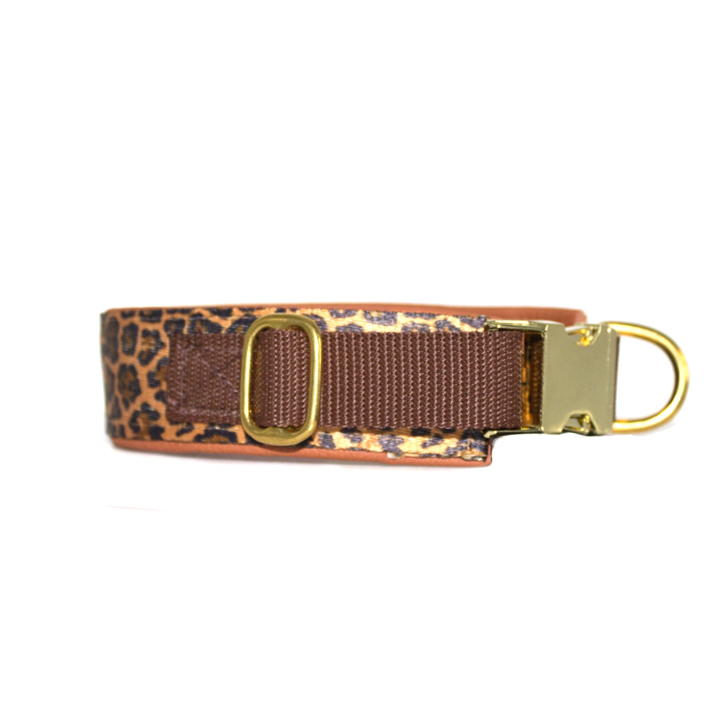 Outdoor Halsband Leo