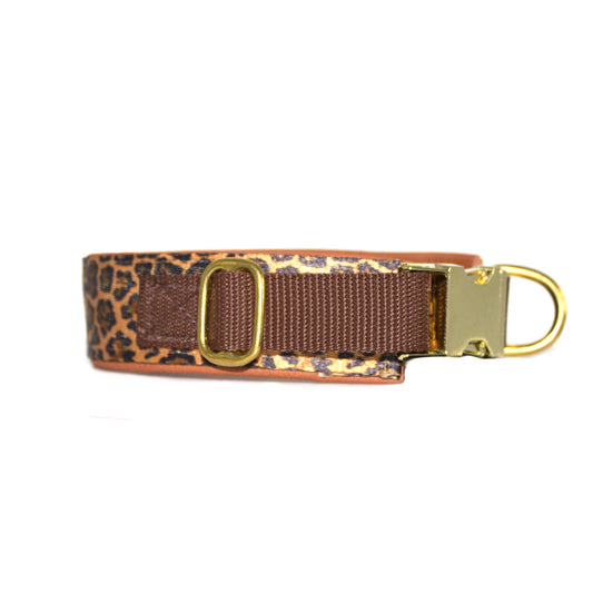 Outdoor Halsband Leo