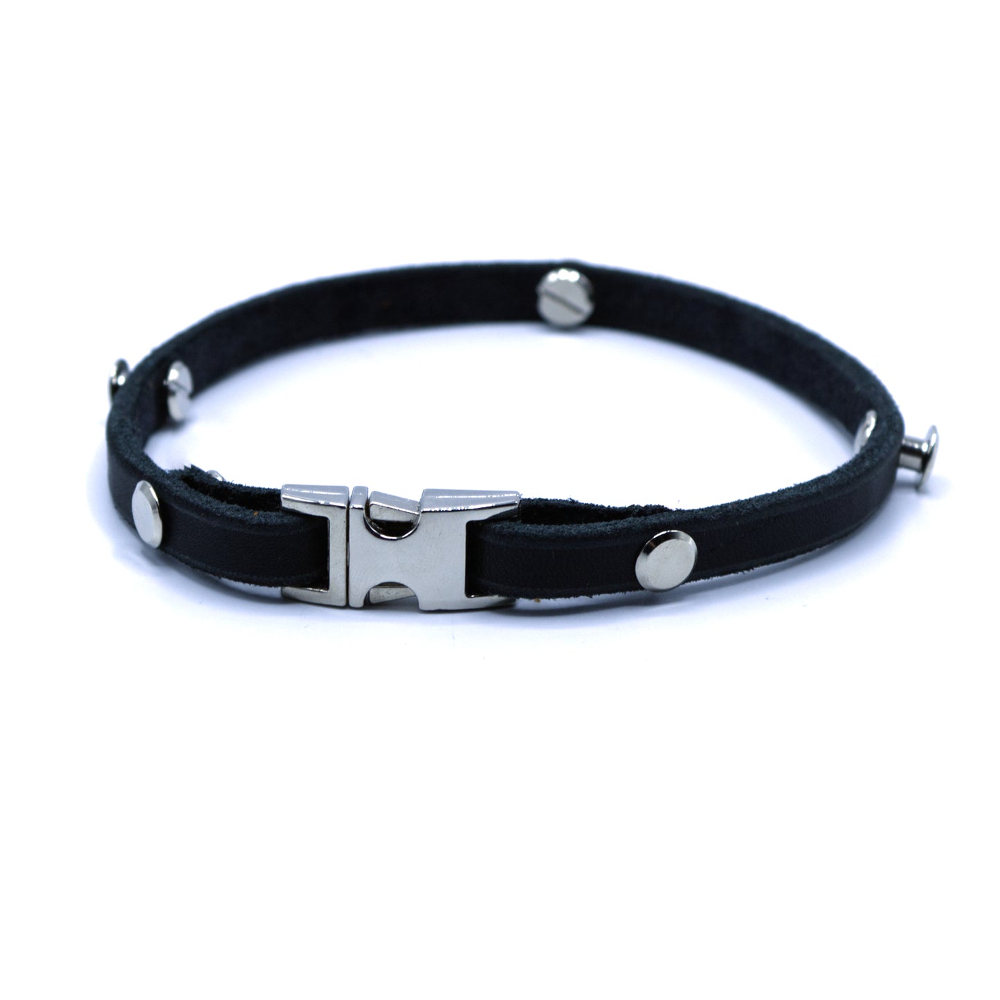 Zeckenbandcover Silber