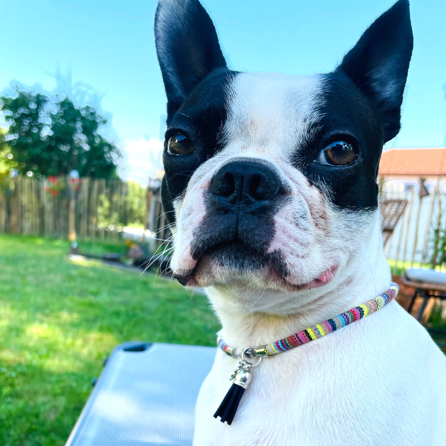 Boho Hundekette