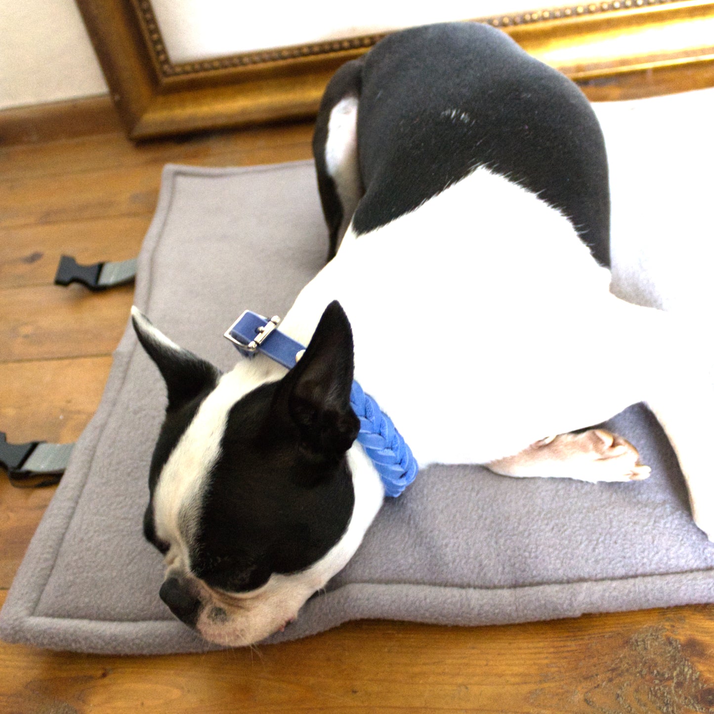 Roll up & To Go Blanket