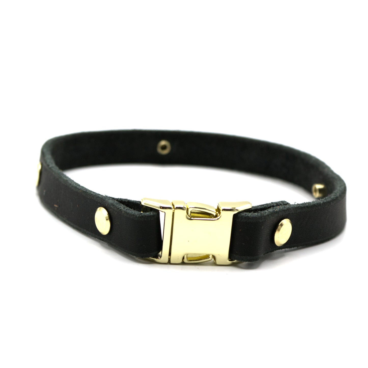 Zeckenbandcover Gold