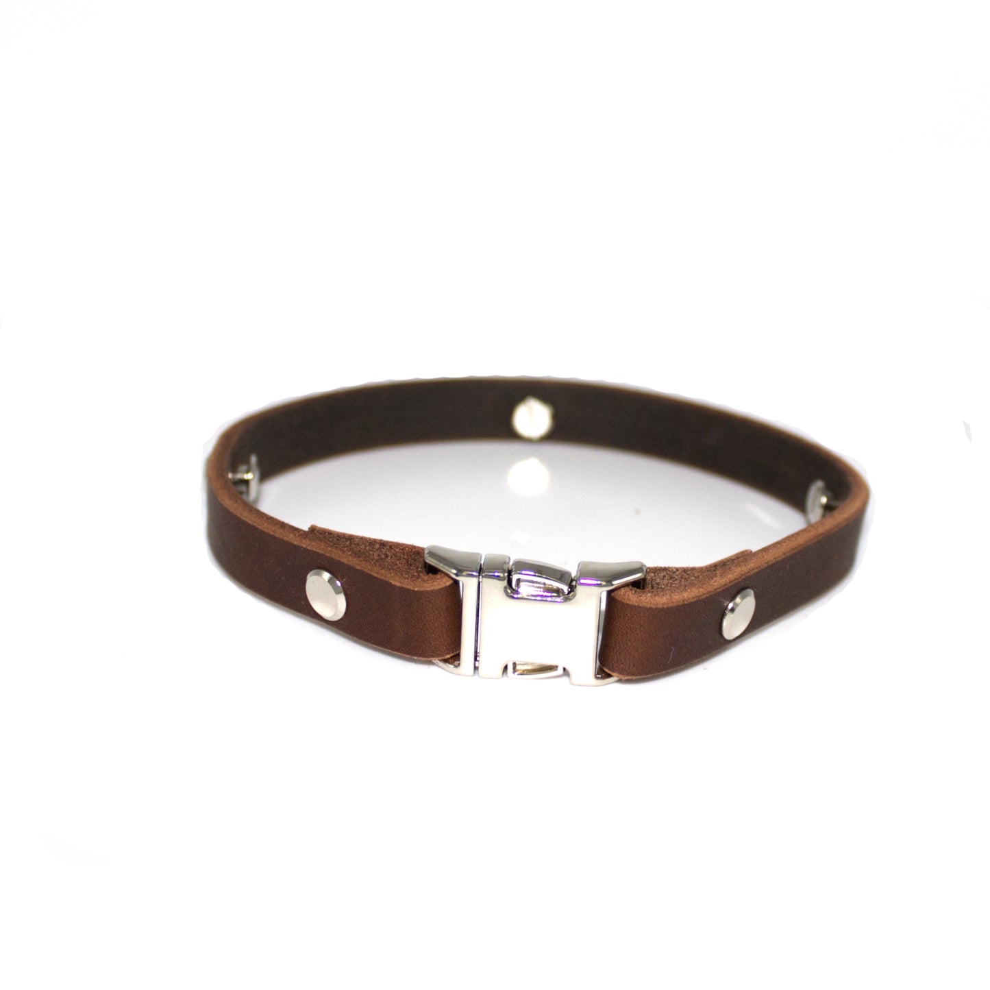 Zeckenbandcover Silber