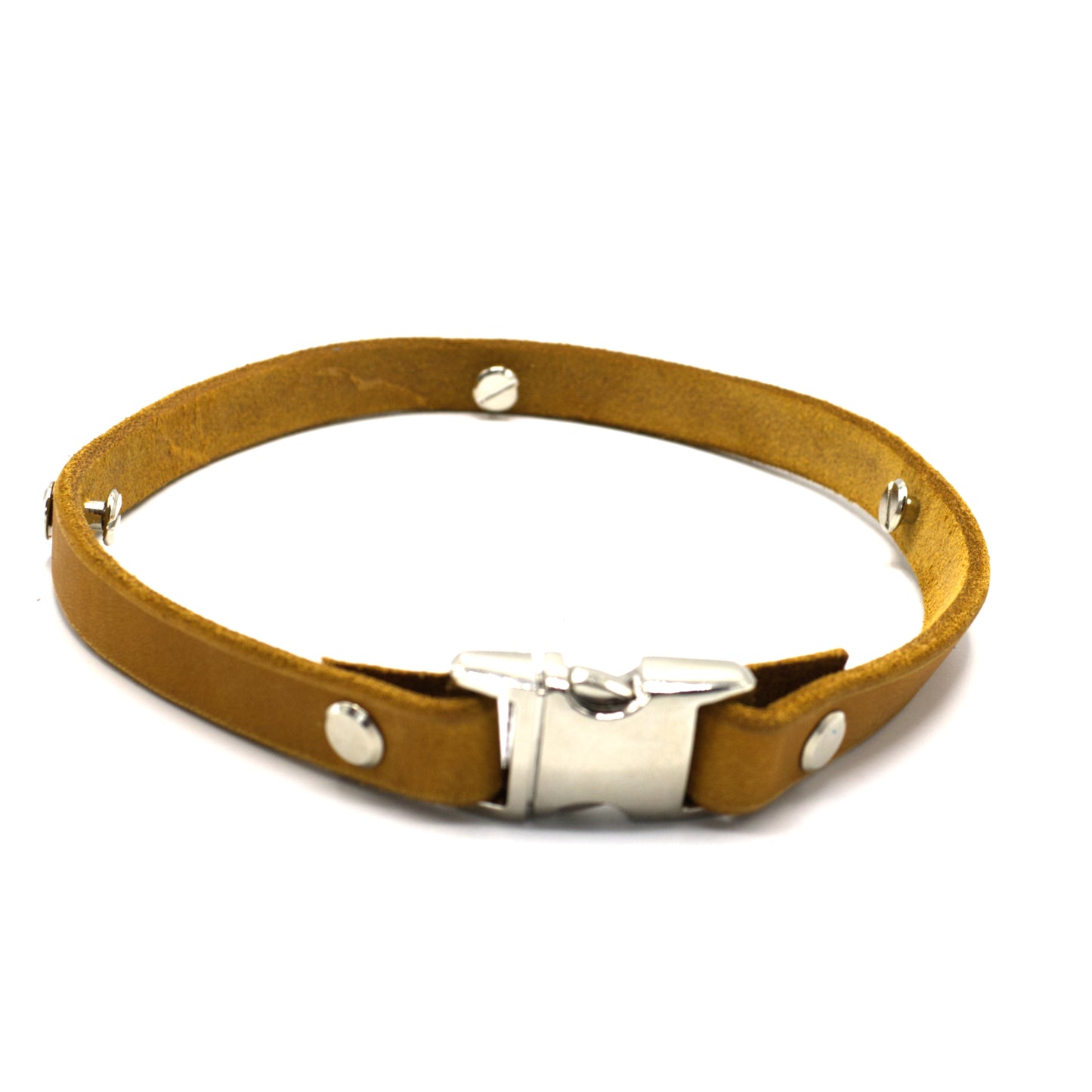 Zeckenbandcover Silber