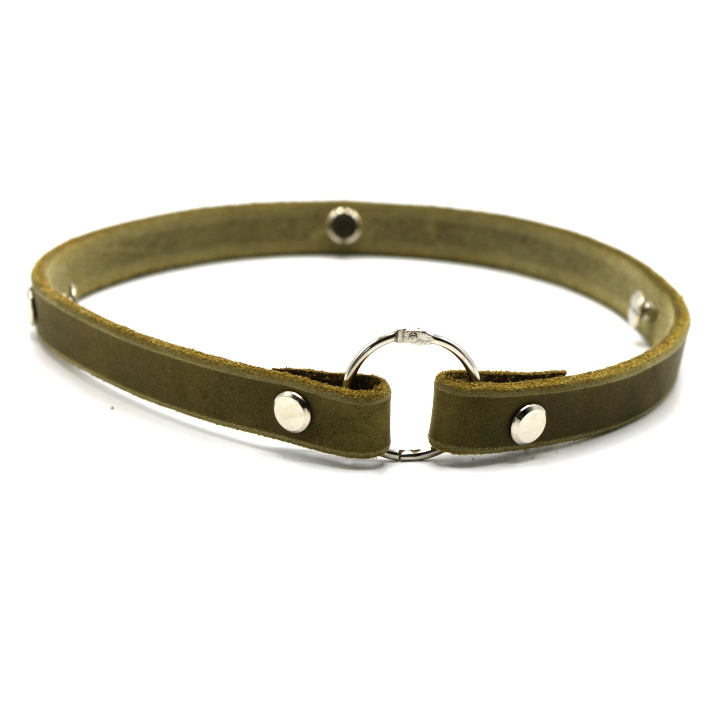 Zeckenbandcover Silber