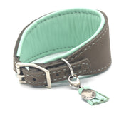 Windhundhalsband Winston Taupe
